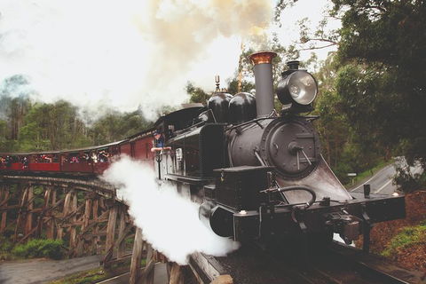 Half Day Puffing Billy Train Journey From Melbourne - Broome Tourism 3