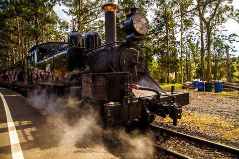 Half Day Puffing Billy Train Journey From Melbourne - Broome Tourism 6