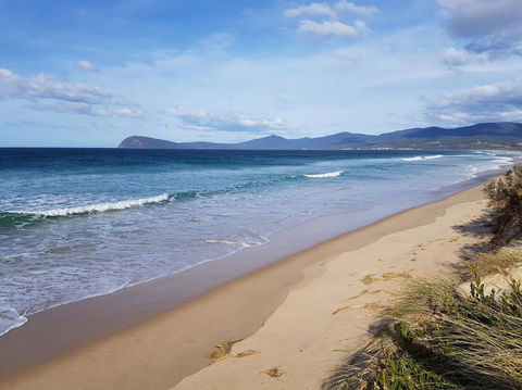 Bruny Island All Inclusive Gourmet Day Trip From Hobart - Broome Tourism 6
