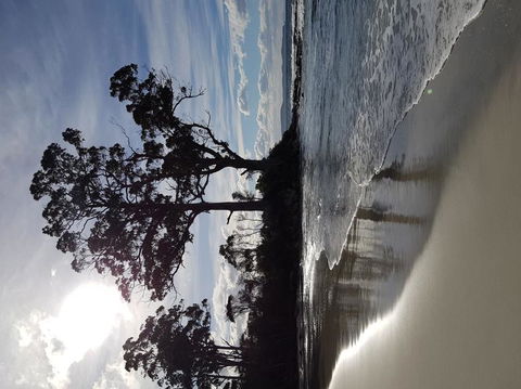 Bruny Island All Inclusive Gourmet Day Trip From Hobart - Broome Tourism 5