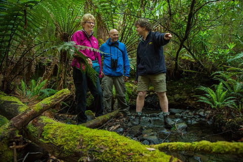 Bruny Island All Inclusive Gourmet Day Trip From Hobart - Broome Tourism 28