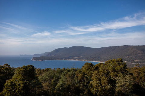 Port Arthur And Tassie Devils Active Day Tour From Hobart - Broome Tourism 4
