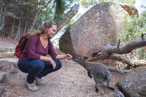 Full-Day Tour One-Way From Launceston To Hobart With Freycinet National Park - Broome Tourism 10