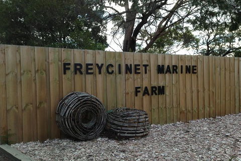 Full-Day Tour One-Way From Launceston To Hobart With Freycinet National Park - Broome Tourism 8