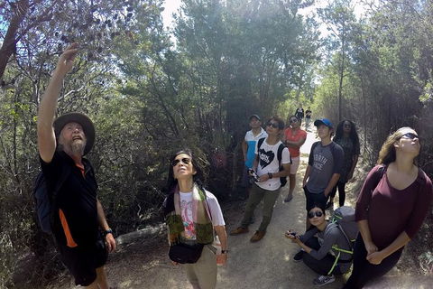 Wineglass Bay Explorer Active Day Trip From Launceston - Broome Tourism 8