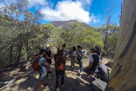 Wineglass Bay Explorer Active Day Trip From Launceston - Broome Tourism 3