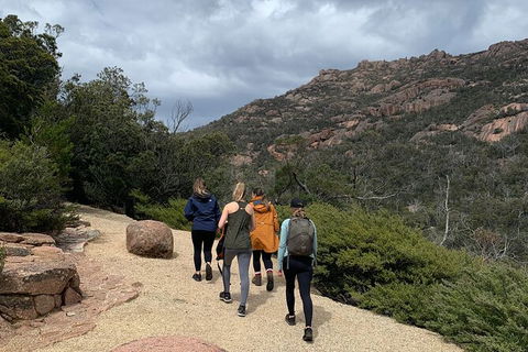 Wineglass Bay Explorer Active Day Trip From Launceston - Broome Tourism 15