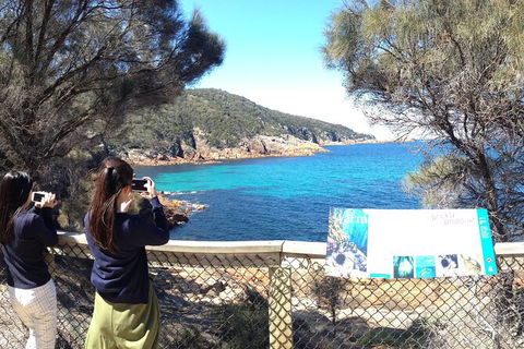 Wineglass Bay Explorer Active Day Trip From Launceston - Broome Tourism 24