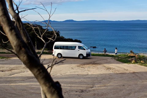 Wineglass Bay Explorer Active Day Trip From Launceston - Broome Tourism 10