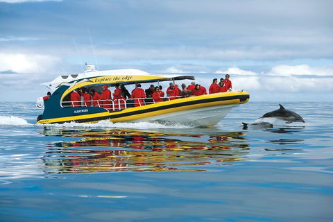 3-Hour Tasman Peninsula Wilderness Cruise From Port Arthur - Broome Tourism 5