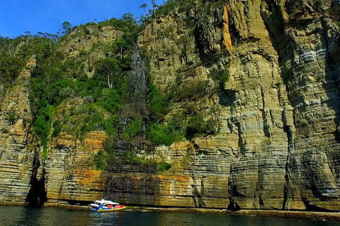 3-Hour Tasman Peninsula Wilderness Cruise From Port Arthur - Broome Tourism 7