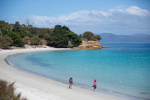 Maria Island Active Day Trip From Hobart - Broome Tourism 1