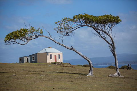 Maria Island Active Day Trip From Hobart - Broome Tourism 3