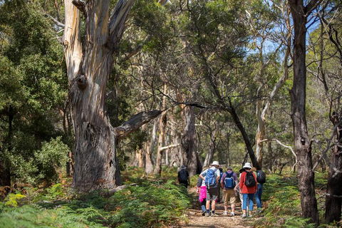 Maria Island Active Day Trip From Hobart - Broome Tourism 12