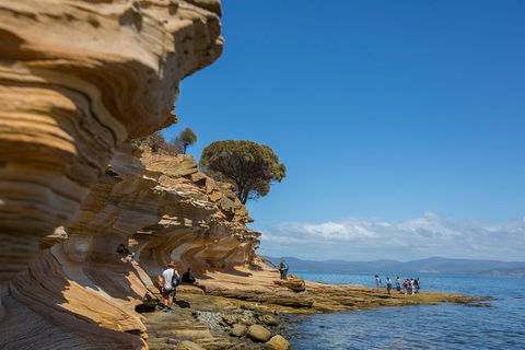 Maria Island Active Day Trip From Hobart - Broome Tourism 5