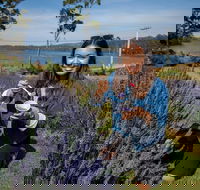 Port Arthur and Lavender Farm Active Day Tour - Broome Tourism