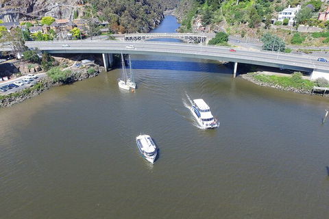 Cataract Gorge Cruise 10:30 Am - Broome Tourism 5