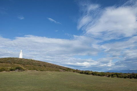 Bruny Island Premium Private Photo-oriented Day Tour From Hobart - Broome Tourism 1