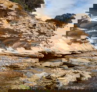 Maria Island premium private photo-oriented day tour from Hobart - Broome Tourism
