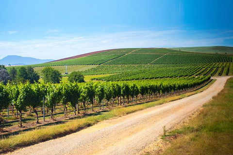 Full Day Tamar Valley Wine Tour - Broome Tourism 2