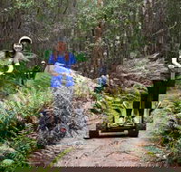 Hollybank Wilderness Adventures - Segway Tour - Broome Tourism