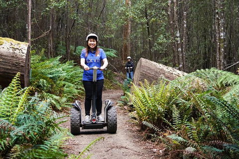 Hollybank Wilderness Adventures - Segway Tour - Broome Tourism 0