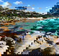4-Day Tasmania East Coast Adventure from Launceston to Hobart Including Bay of Fires Wineglass Bay Bruny Island and Port Arthu - Broome Tourism