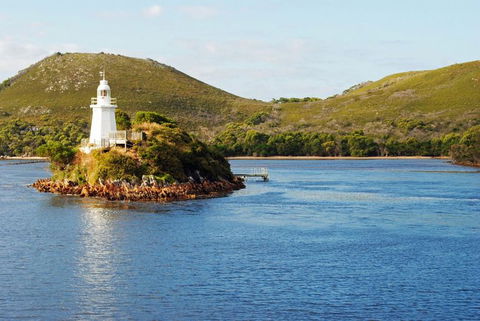 Gordon River Cruise Departing From Strahan - Broome Tourism 25