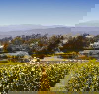 Josef Chromy Wines Winery Tour Including Tasting and Lunch - Broome Tourism