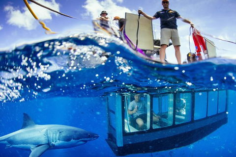 White Shark Tour With Optional Cage Dive From Port Lincoln - Broome Tourism 0