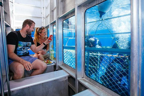 White Shark Tour With Optional Cage Dive From Port Lincoln - Broome Tourism 4
