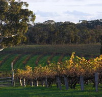 Barossa Valley with Hahndorf Tour from Adelaide - Broome Tourism