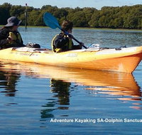 Adelaide Dolphin Sanctuary and Ships Graveyard Kayak Tour - Broome Tourism
