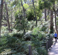 Self-Guided Waterfall Gully to Mount Lofty Hike from Adelaide - Broome Tourism
