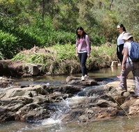 Small Group Bush Walk  BBQ with Wine Day Trip from Adelaide - Broome Tourism