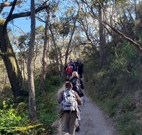 Mount Lofty Hike and Cleland Wildlife Park Day Trip from Adelaide - Broome Tourism
