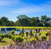 Micro-Group Barossa Valley Wine Tour from Adelaide - Broome Tourism