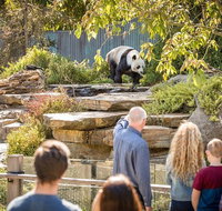 Adelaide Zoo Behind the Scenes Experience Panda and Friends Tour - Broome Tourism