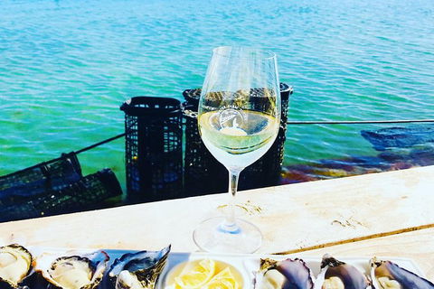 Coffin Bay Oyster Farm & Tasting Tour - Broome Tourism 11