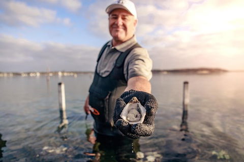 Coffin Bay Oyster Farm & Tasting Tour - Broome Tourism 3
