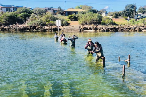 Coffin Bay Oyster Farm & Tasting Tour - Broome Tourism 6