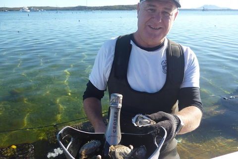 Coffin Bay Oyster Farm & Tasting Tour - Broome Tourism 2