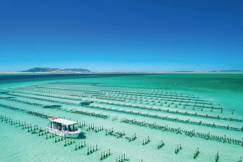 Coffin Bay Private Day Tour From Port Lincoln - A Taste Of Coffin Bay - Broome Tourism 0