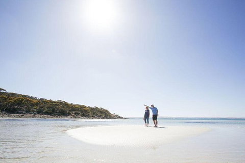 Exceptional Port Lincoln, Seafood And Wildlife Tour - Broome Tourism 1