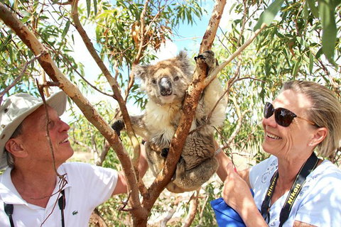 Exceptional Port Lincoln, Seafood And Wildlife Tour - Broome Tourism 6
