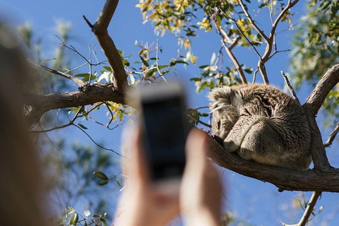 Exceptional Port Lincoln, Seafood And Wildlife Tour - Broome Tourism 2