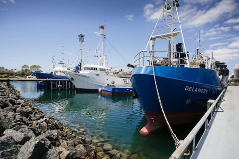 Exceptional Port Lincoln, Seafood And Wildlife Tour - Broome Tourism 8