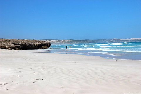 Exceptional Port Lincoln, Seafood And Wildlife Tour - Broome Tourism 4