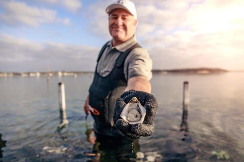 Oyster Farm And Tasting Tour With Hotel Pick-up And Return From Port Lincoln - Broome Tourism 3
