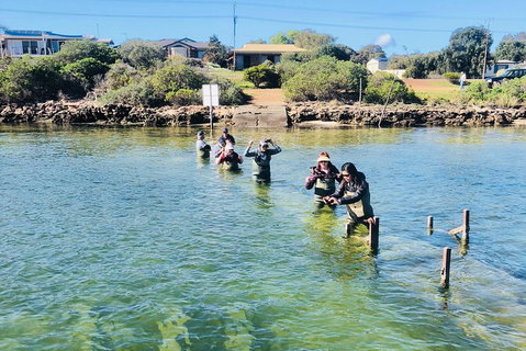 Oyster Farm And Tasting Tour With Hotel Pick-up And Return From Port Lincoln - Broome Tourism 6